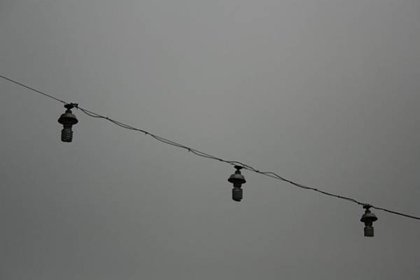 _MG_8252.JPG _MG_8252.JPG