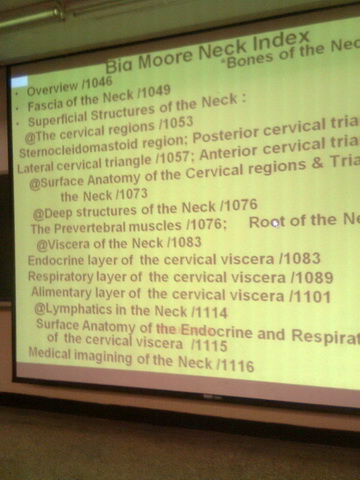 影像1076.jpg 影像1076.jpg