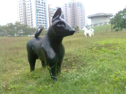 影像1114.jpg 影像1114.jpg