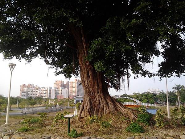 2012-10-20 16.06.56 2012-10-20 16.06.56