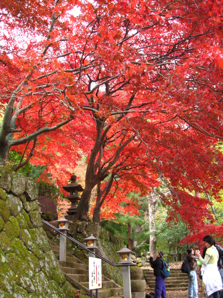 IMG_0061 大山寺入口.JPG