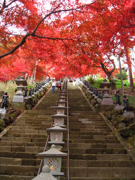 IMG_0062 壯觀的參道.JPG