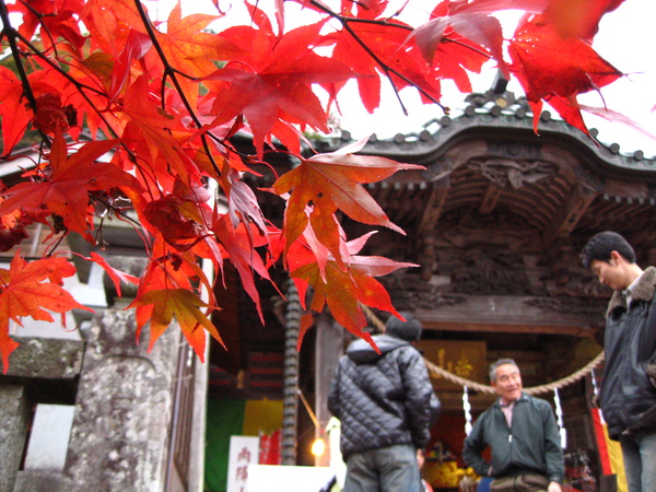 IMG_0072 大山寺.JPG