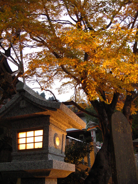 IMG_0080 前往阿立夫下社的參道.JPG