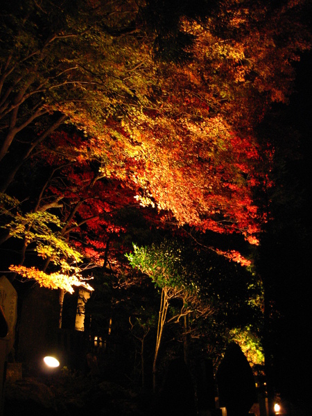 IMG_0161 燈光打上去比白天還美.JPG