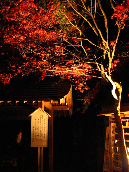 IMG_0162 神社旁的祈願所.JPG
