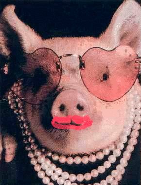 1211825923MSN-Messenger-Kissing-Pig-Virus-Still-on-the-Web-2.jpg