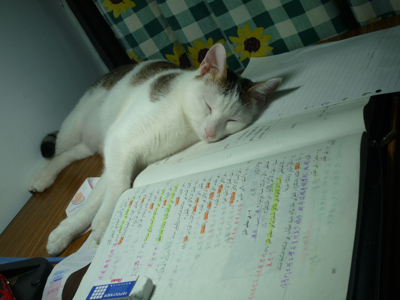小書僮.jpg 小書僮.jpg