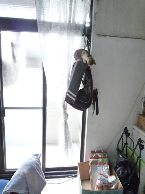 P1040272.jpg P1040272.jpg