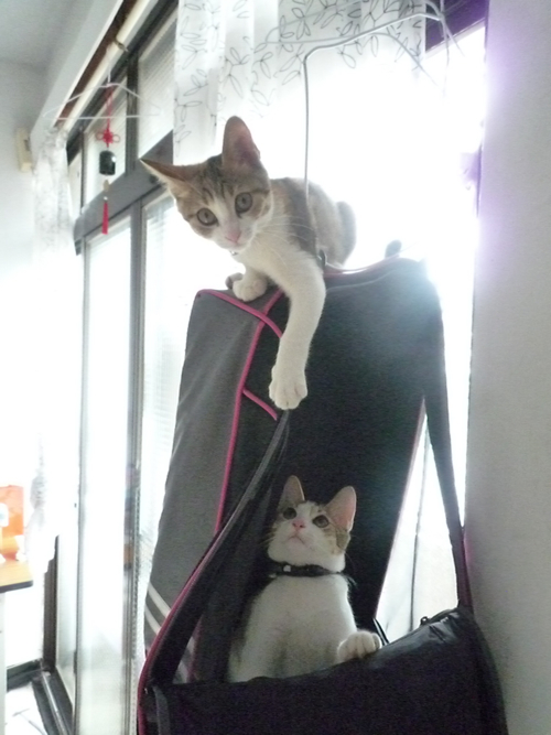 P1040273.jpg P1040273.jpg