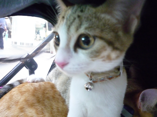 P1040279.jpg P1040279.jpg