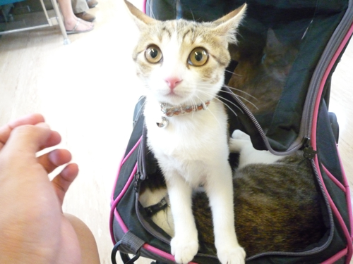 P1040282.jpg P1040282.jpg