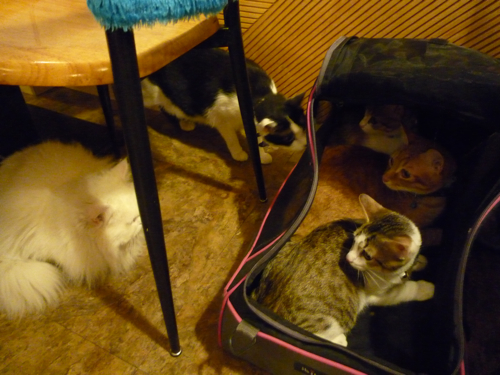 P1040292.jpg P1040292.jpg