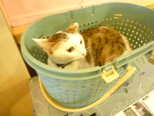 P1040305.jpg P1040305.jpg