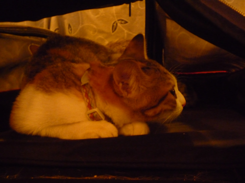 P1040307.jpg P1040307.jpg