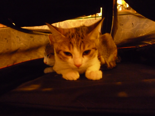 P1040308.jpg P1040308.jpg