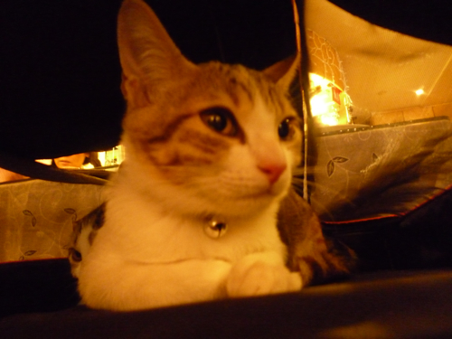 P1040311.jpg P1040311.jpg