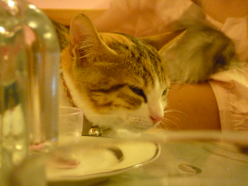 P1040312.jpg P1040312.jpg