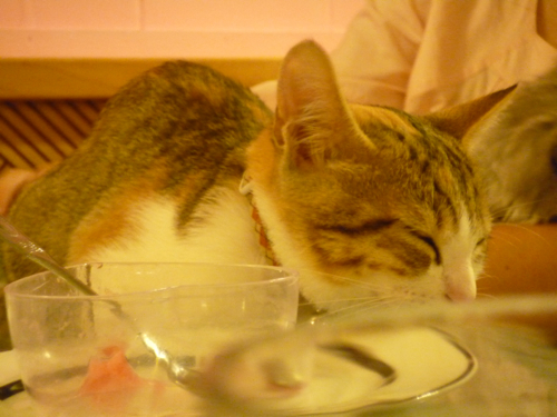 P1040313.jpg P1040313.jpg