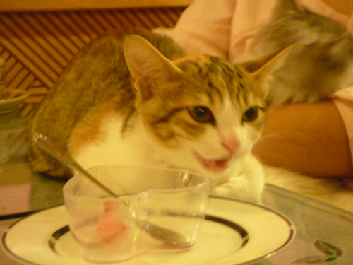 P1040316.jpg P1040316.jpg