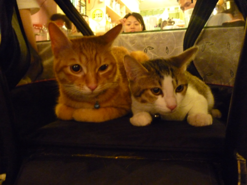 P1040319.jpg P1040319.jpg