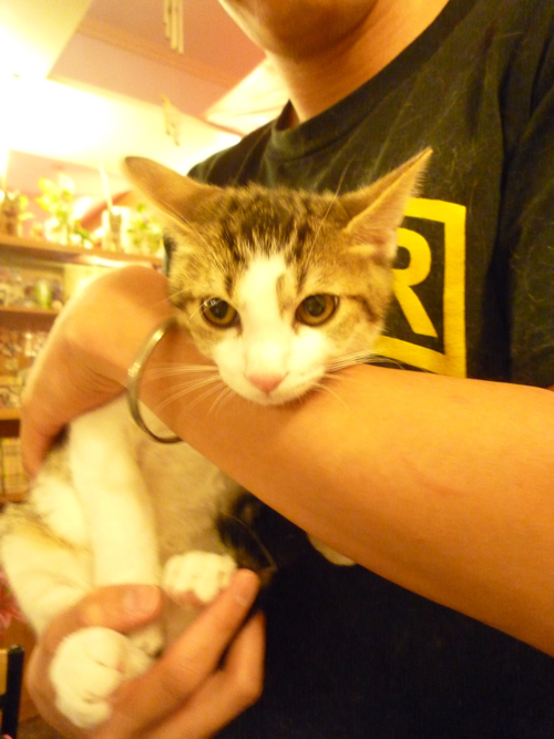 P1040326.jpg P1040326.jpg