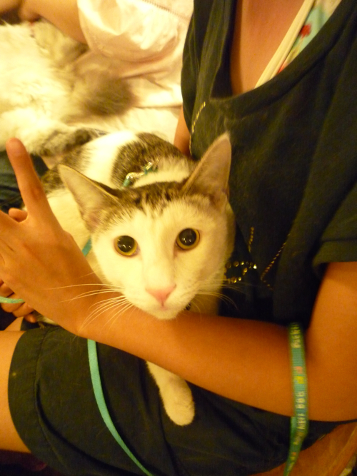 P1040331.jpg P1040331.jpg