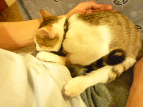 P1040334.jpg P1040334.jpg