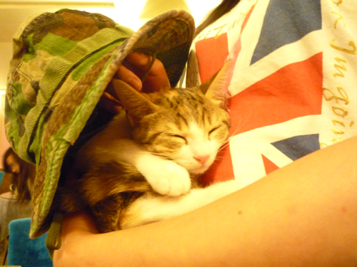 P1040337.jpg P1040337.jpg