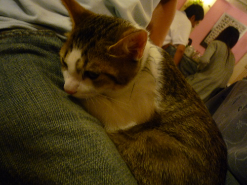 P1040346.jpg P1040346.jpg