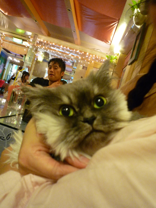 P1040347.jpg P1040347.jpg