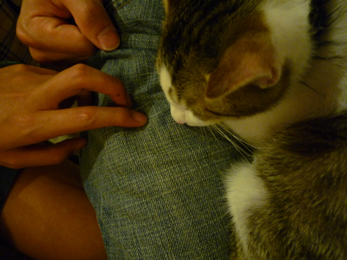 P1040358.jpg P1040358.jpg