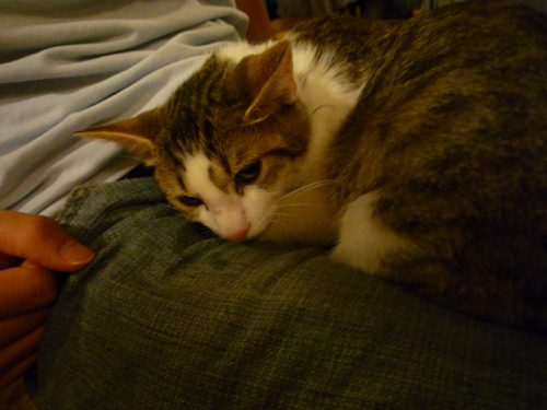 P1040359.jpg P1040359.jpg