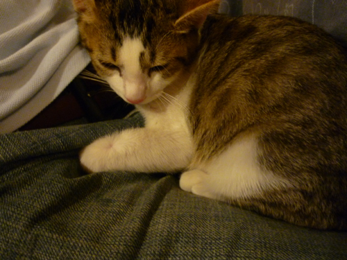 P1040361.jpg P1040361.jpg