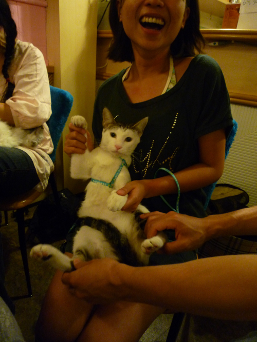 P1040368.jpg P1040368.jpg