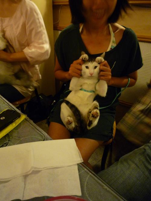 P1040370.jpg P1040370.jpg