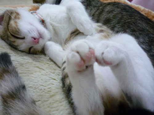 P1040376.jpg P1040376.jpg