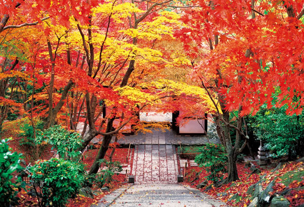 b73-174.jpg b73-174.jpg