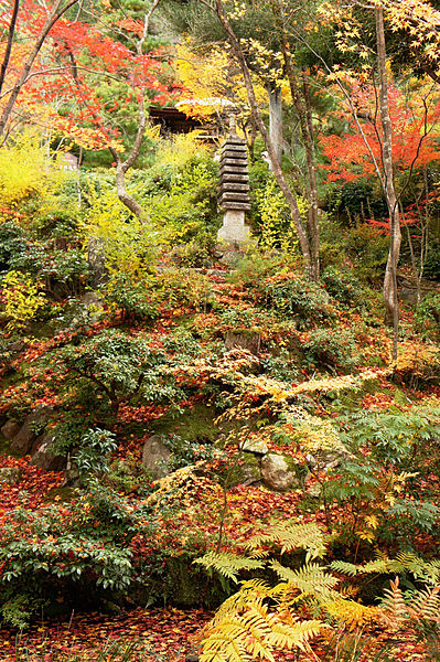 399px-Jojakkoji_Kyoto07s3s4592.jpg 399px-Jojakkoji_Kyoto07s3s4592.jpg