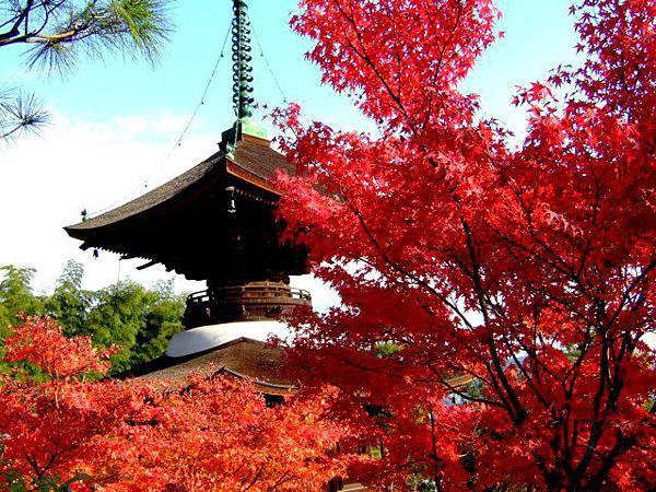 course-24.jpg course-24.jpg