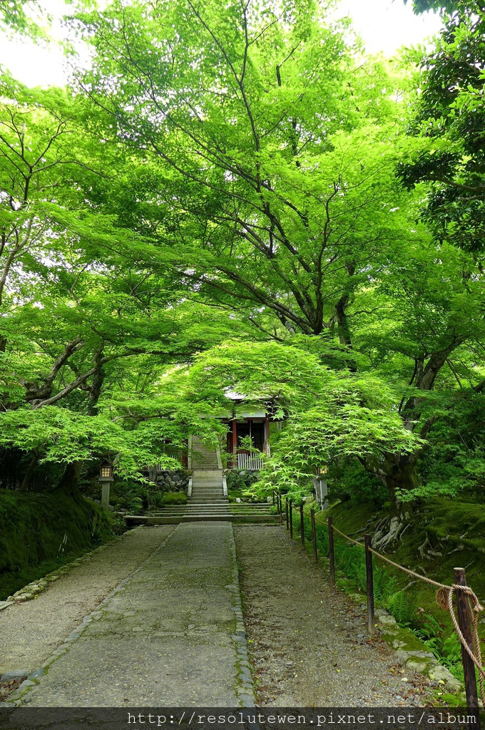 P1080796.JPG P1080796.JPG