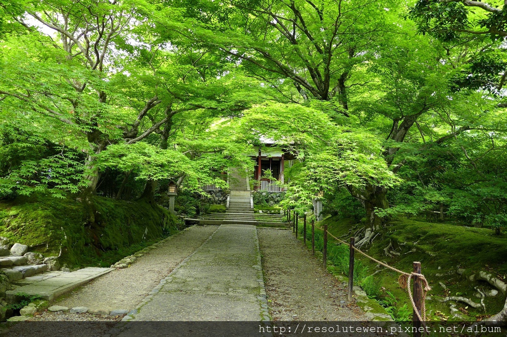 P1080797.JPG P1080797.JPG