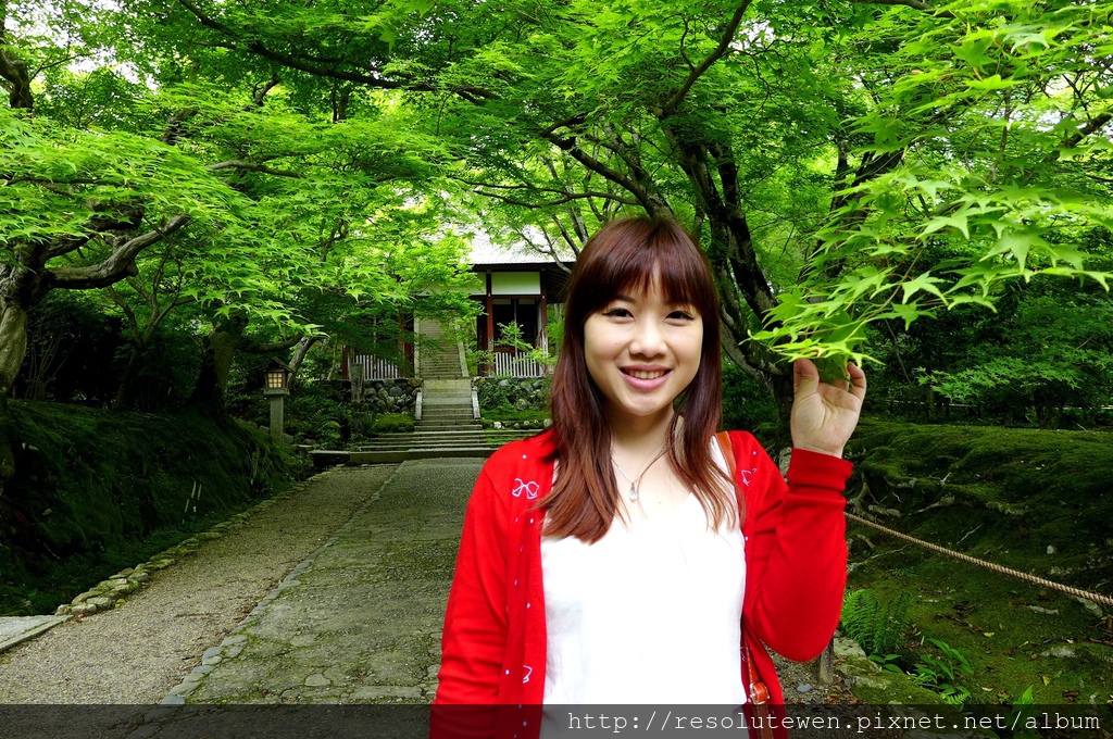 P1080799.JPG P1080799.JPG