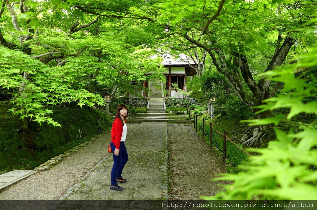 P1080800.JPG P1080800.JPG