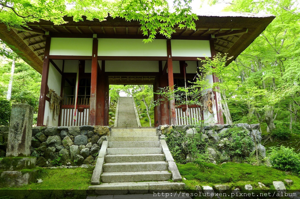 P1080803.JPG P1080803.JPG