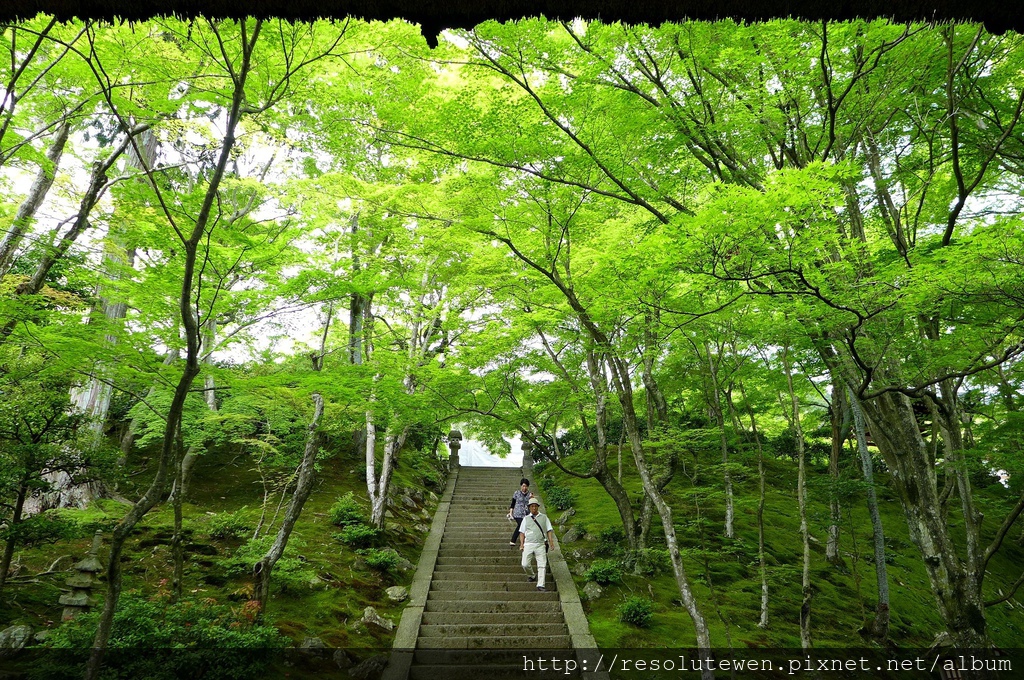 P1080806.JPG P1080806.JPG