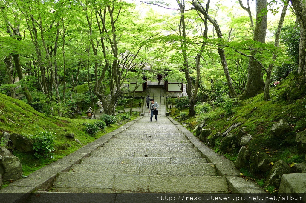 P1080808.JPG P1080808.JPG