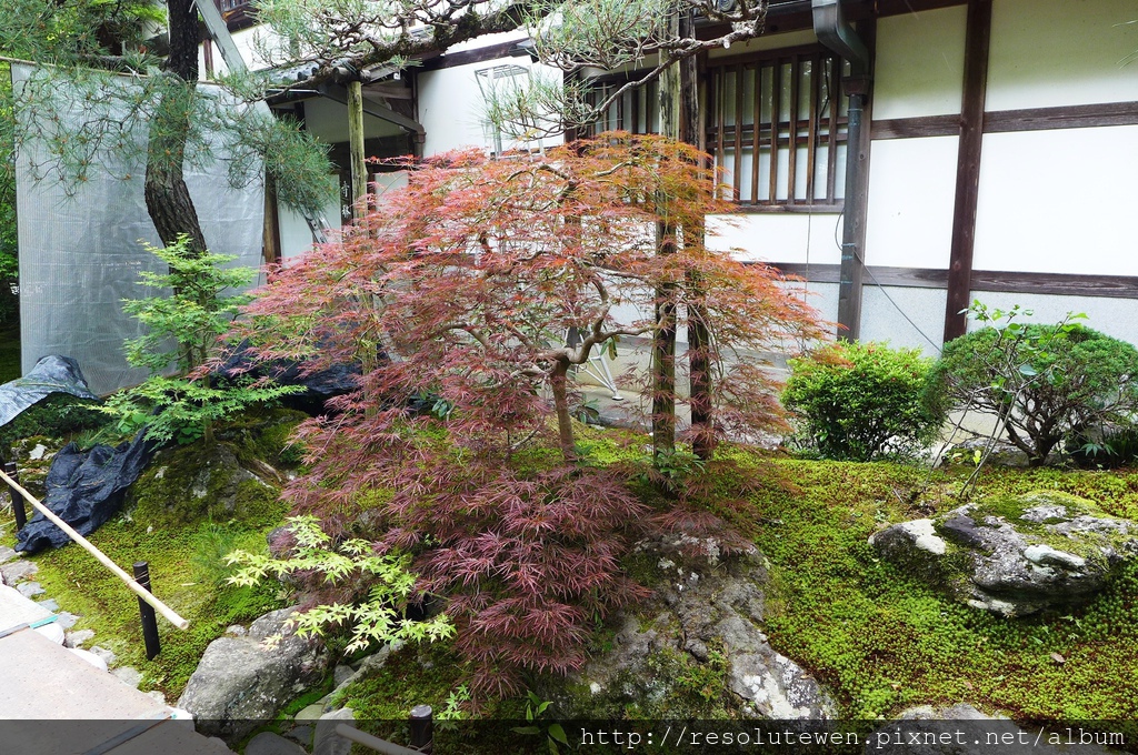 P1080811.JPG P1080811.JPG