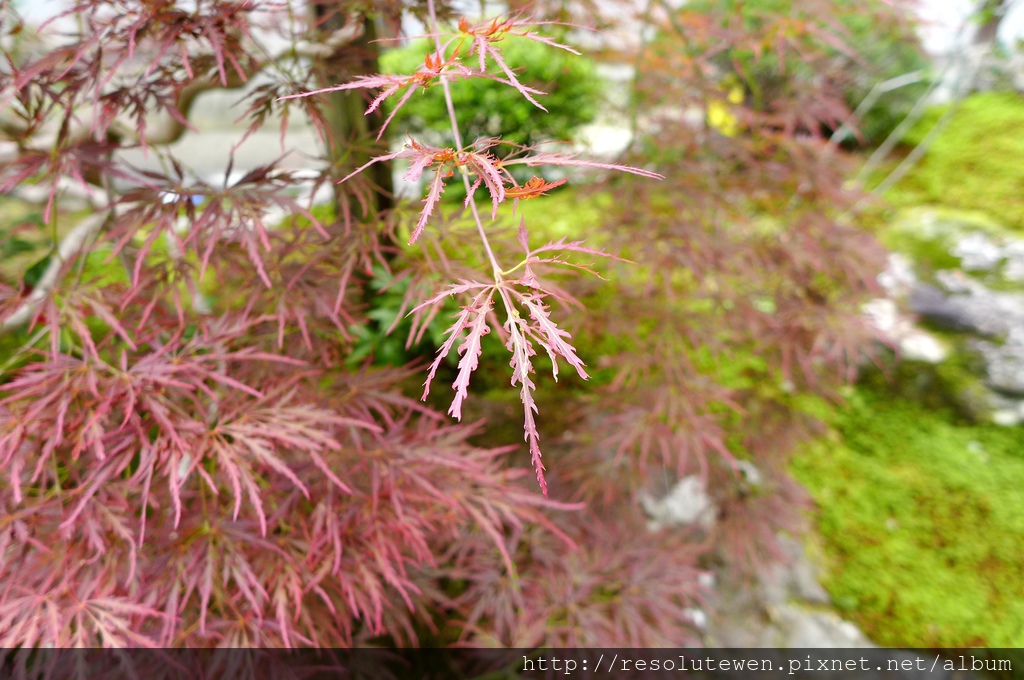 P1080815.JPG P1080815.JPG