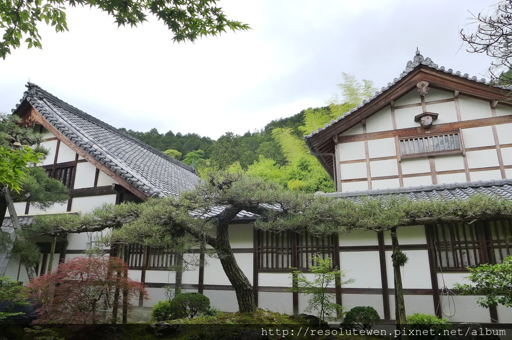 P1080816.JPG P1080816.JPG